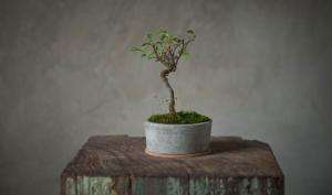 深圳办公室米兰·官方端入口_米兰（中国）and泥水施工工艺米兰·官方端入口_米兰（中国）