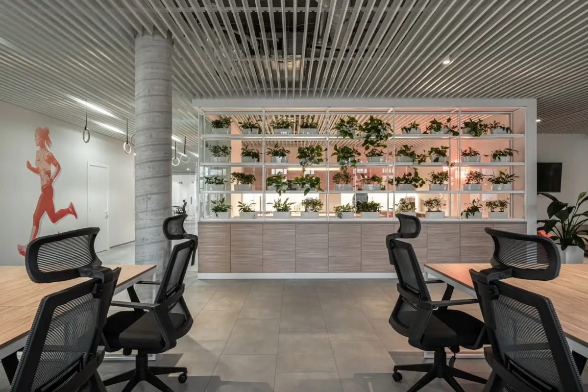 1691371543659060628.jpg 638713357610c.jpg